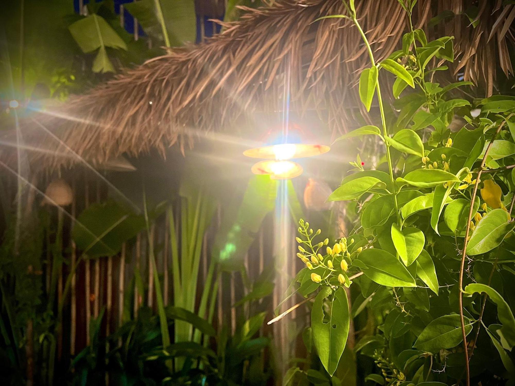 Ben Do Xua Homestay & Coffee Cai Rang Bagian luar foto